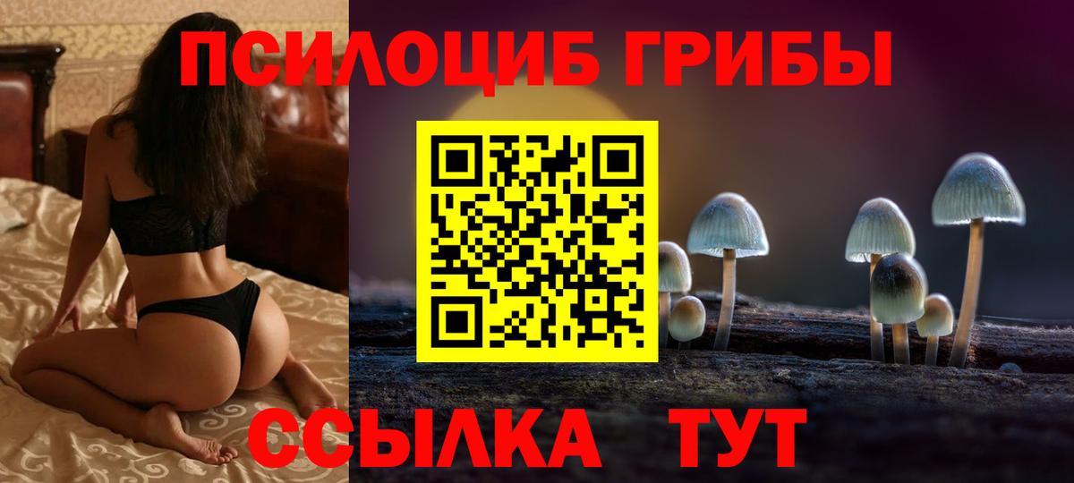 Псилоцибиновые грибы прущие грибы Кинель